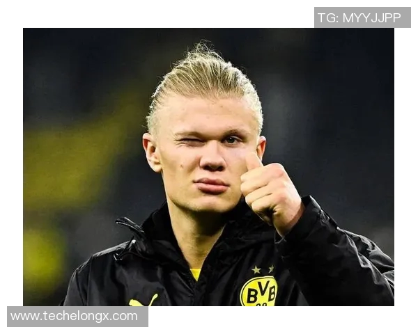 哈兰德进球数据曝光曼城生涯149场127球挪威队45场48球