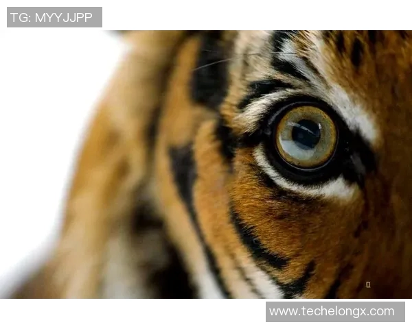 亚当斯的探索之旅：揭示人类智慧与自然和谐共生的奥秘