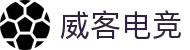 威客电竞(vk)·电子竞技赛事官网