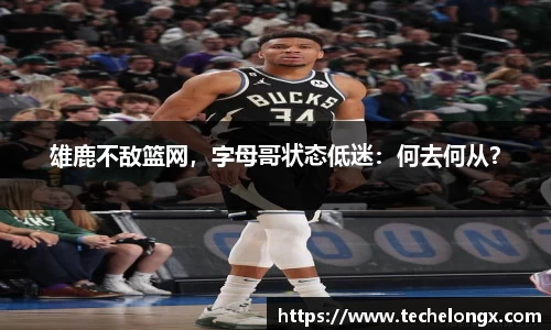 威客电竞官网