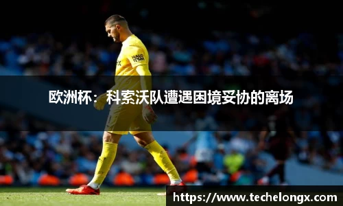 威客电竞下载