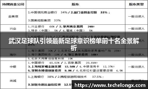 武汉足球队引领最新足球意识榜单前十名全景解析