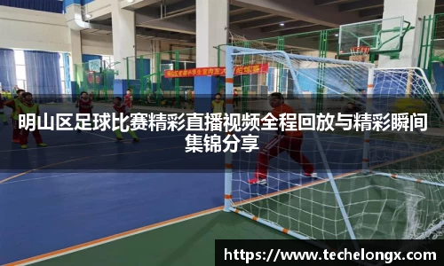 威客电竞下载
