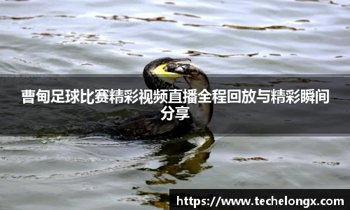 威客电竞平台