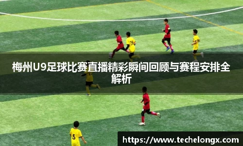 威客电竞下载