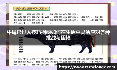 威客电竞官网