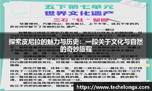威客电竞平台